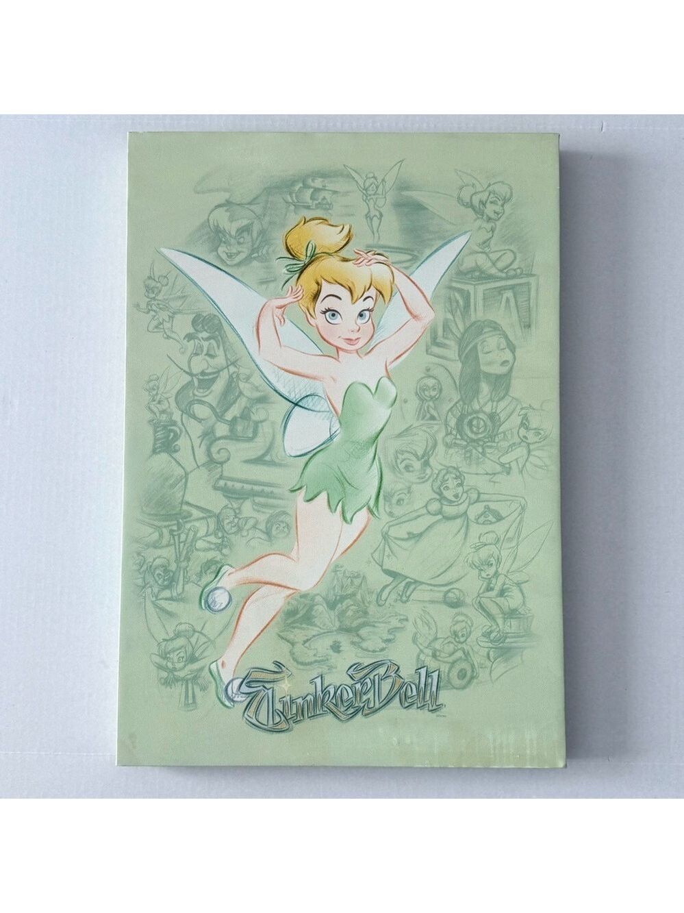 Disney Tinkerbell Fairies Disney Wall Art Canvas w/Peter Pan Characters Sketched